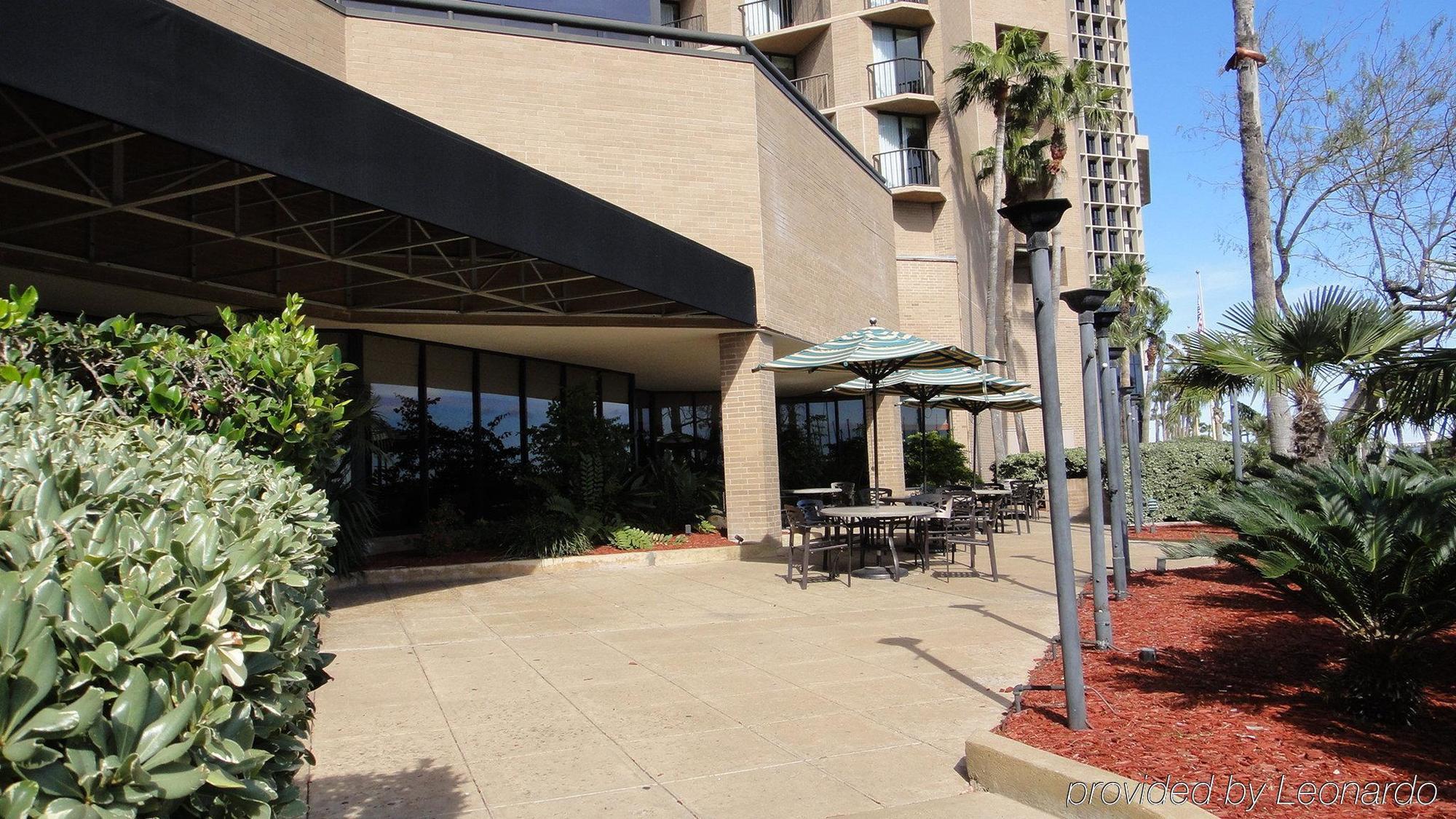 Holiday Inn Corpus Christi Downtown Marina, An Ihg Hotel Exterior photo